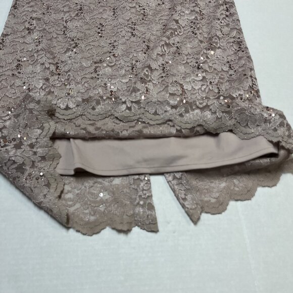 R & M Richards Dress 14 Blush Mauve Lace Sequin Overlay Maxi Gown‎ Fairy Event - Picture 8 of 11